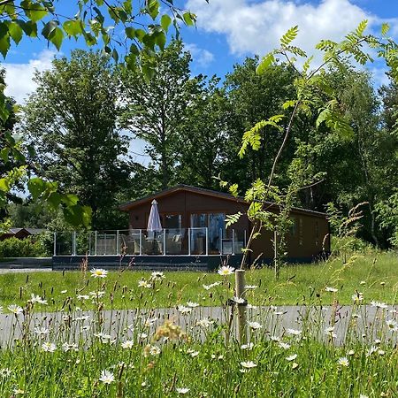 Hollicarrs - Honeycomb Lodge York Eksteriør billede