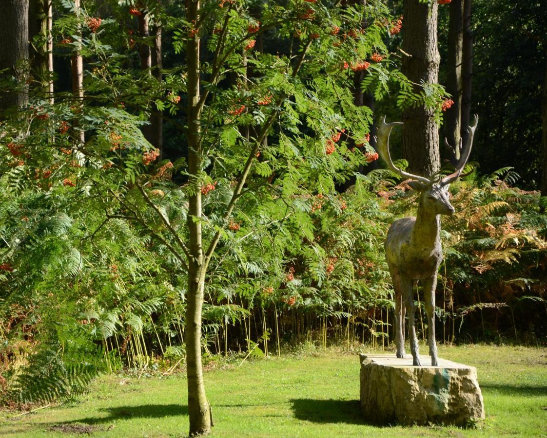 Hollicarrs - Honeycomb Lodge York Eksteriør billede