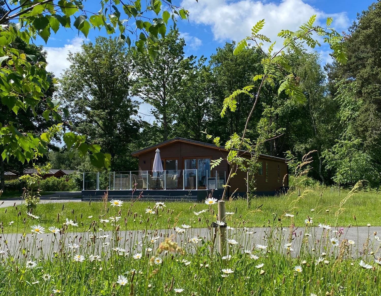 Hollicarrs - Honeycomb Lodge York Eksteriør billede